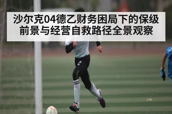 沙尔克04德乙财务困局下的保级前景与经营自救路径全景观察